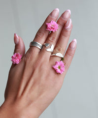 Anillo ballena plata