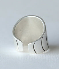 Silver ring earth